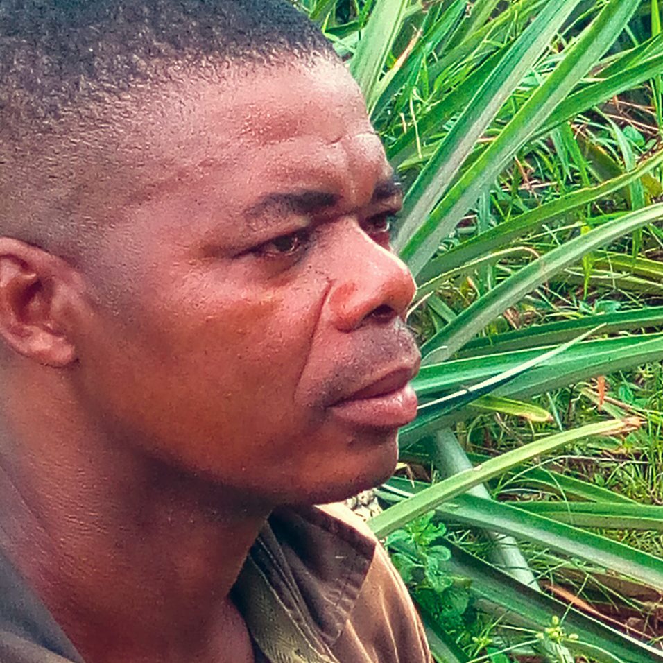 gebana-Togo_Ananas_en