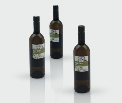 Fendant Les Bans, Domaine Gérald Besse