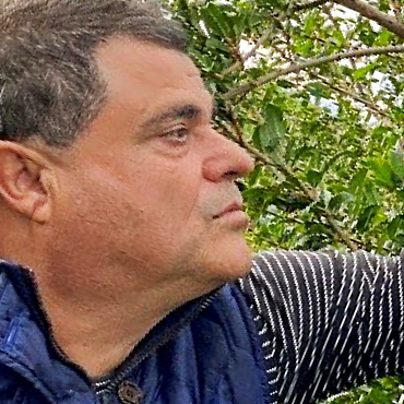Zitronen_de